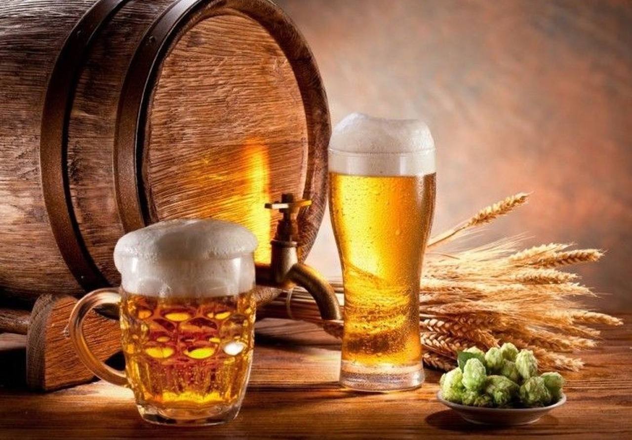 Alkollü içki ve bira üretimi