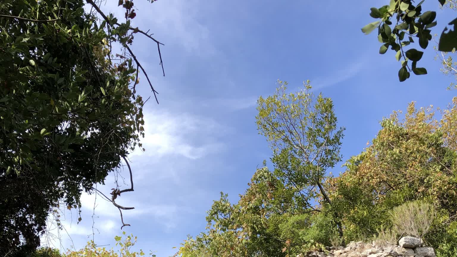 Olympos Gece Görseli