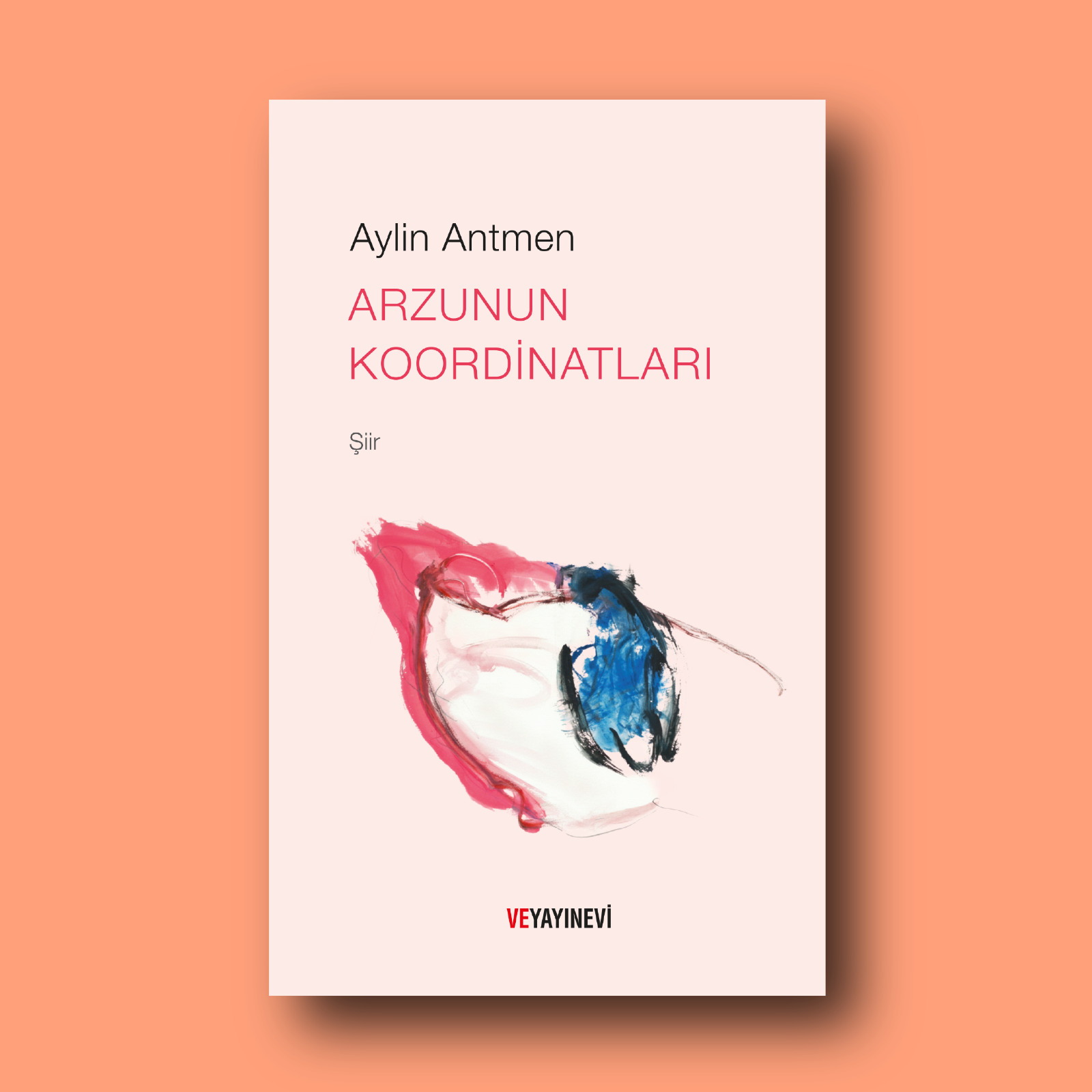 Arzunun Koordinatları kitap kapağı