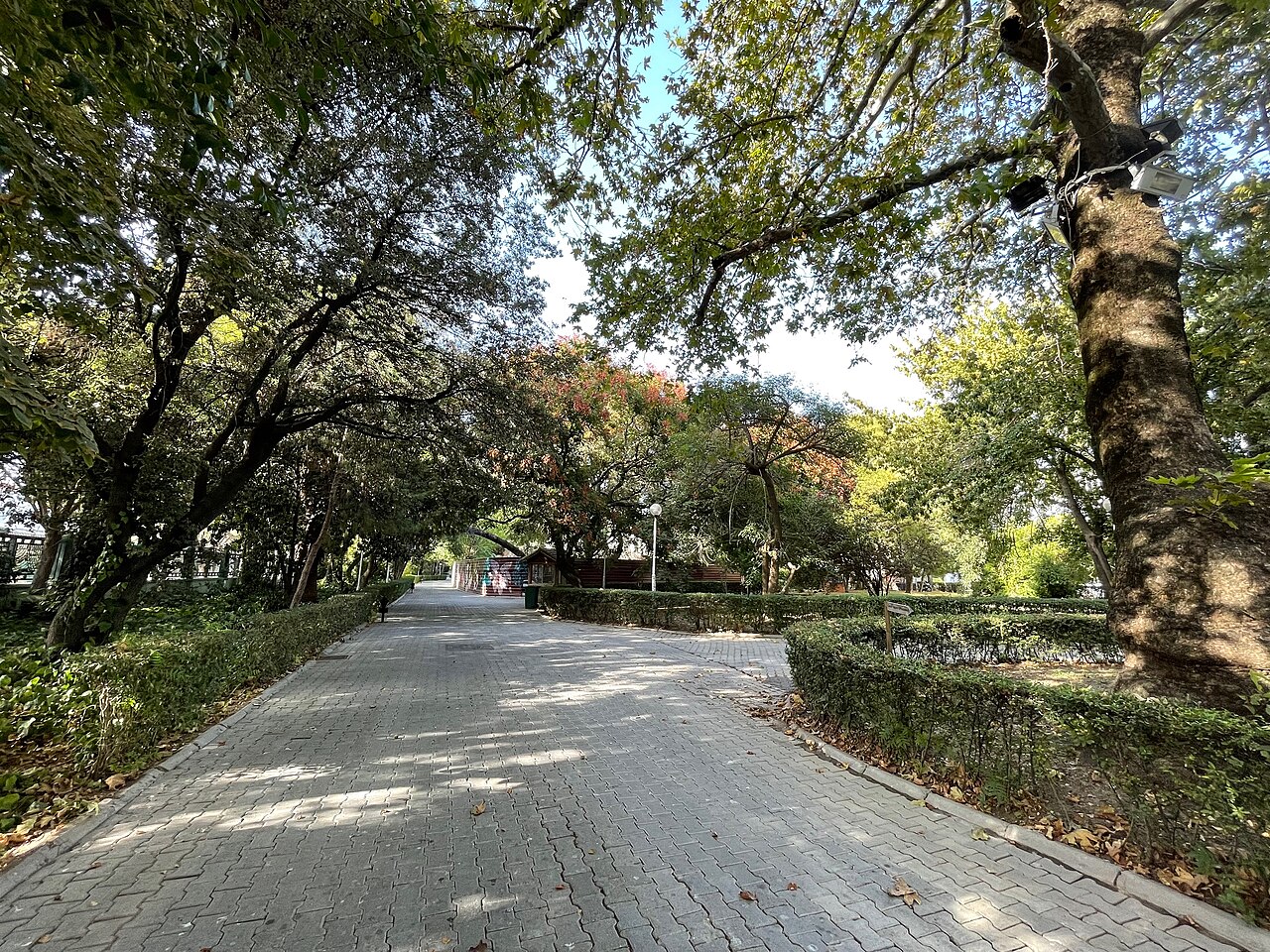 İzmir Kültürpark'ta yürüyüş yolu ve ağaçlar